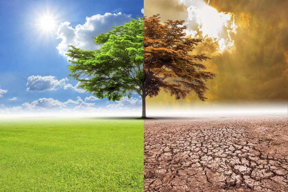 A Presentation on The Contribution of Plastics to Climate Protection