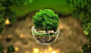 Recycling Concepts